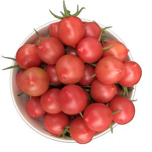 予5斤春桃柿子福建助农新鲜圣女果小番茄西红柿孕妇水果