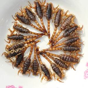 沂蒙十足全蝎油炸蝎子食用蝎子多种口味香辣椒盐原味油炸全蝎