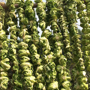 麻辣榨菜菱角菜重庆新鲜青菜头500g袋装咸菜下饭菜酱菜佐餐拌饭小