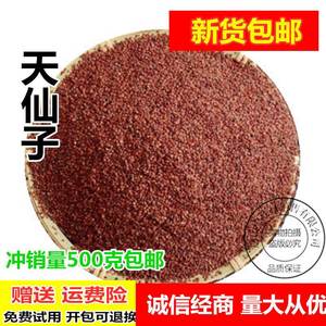 天仙子500克 野生南天仙子材天仙子南天仙子茶包邮