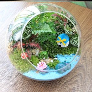 生态瓶diy材料科学微景观生态缸鱼缸玻璃瓶造景办公室你玻璃盆栽