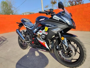 二手地平线 大排小忍者摩托车跑车重型机车北极光250cc公路赛趴赛