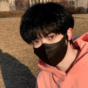 奶狗碎盖学生锅盖头蓬松微分帅气短直发韩版日系逼真全头套5人付款21