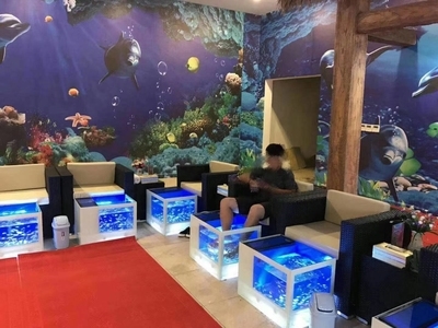 新品鱼疗亲亲鱼足疗缸泡脚鱼缸馆缸水疗温泉鱼移动k四人玻璃按摩