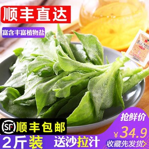 冰草包邮蔬菜新鲜冰菜2斤食用即食生吃蔬菜沙拉食材水晶冰菜包邮