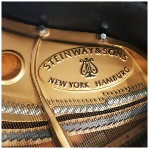 steinway斯坦威m170施坦威三角专业演奏家用