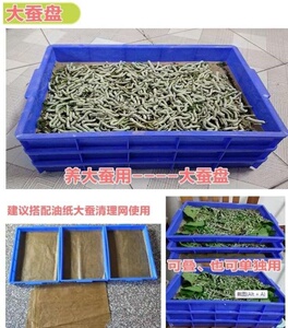 日本购蚕宝宝养殖饲养盒蚕具设备养蚕塑料吐丝盒专用工具家用蚕的
