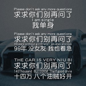 求求你们别问了车贴后档