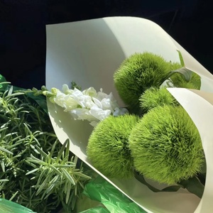 绿色乒乓菊花束图片