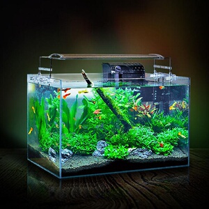 超用型璃专玻公款迷小s态白本厅桌生养鱼面鱼缸斗缸鱼客办你日新