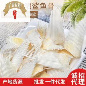 沙鱼骨鲨鱼骨