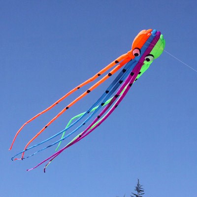 大型风筝红阳软体风筝筒章鱼风筝高级风筝专业风筝巨型风筝包邮