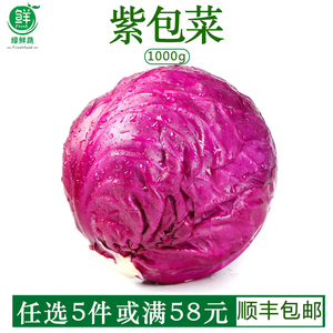 紫甘蓝新鲜球生菜卷心菜紫包菜轻食沙拉蔬菜西餐食材1000g