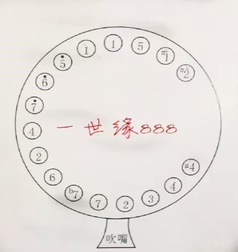 厂家直销保证质量e天津民族风笙乐器17簧扩音笙专业演奏扩音笙