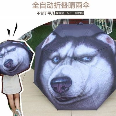 300人付款淘宝抖音同款哈士奇创意雨伞个性遮阳折叠全自动学生狗头