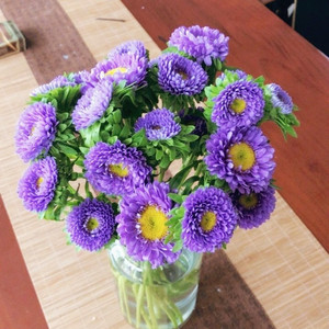 翠菊鲜花 水培矢车菊 迷你雏菊生日爱情礼物家庭插花云南基地直发