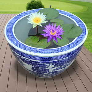 睡莲花苗盆栽带花苞水培植物四季荷花水养耐寒池塘大花睡莲根块茎