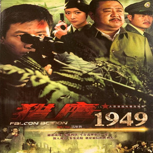 抗日战争连续电视剧光盘 猎鹰1949 dvd碟片张子健/梁冠华/刘亚津