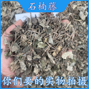 成都中药材批 发石楠藤野生中药材石楠藤 石南藤 爬岩香 小风藤