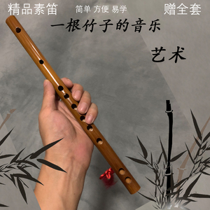 竹笛小笛子手笛便携式随身初学者儿童男女成人f/g调苦竹笛膜配件