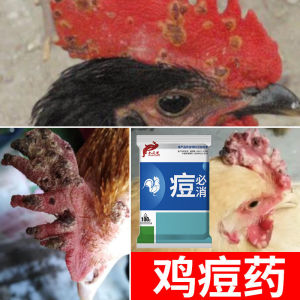 痘必消鸡痘药鸡用鸡痘净鸽痘鸡痘预防治疗重症鸡豆鸽豆鸽子药鸡药