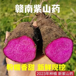 现挖新鲜紫山药脚板薯紫玉淮山大薯毛薯种子赣南特产5斤包邮种苗