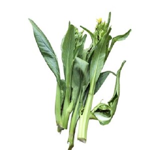菜心种子甜菜心种子多芽菜心种子广东菜心甜脆嫩四季菜心蔬菜种子