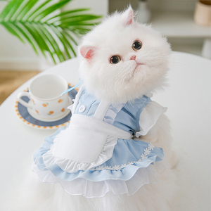 猫咪衣服网红ins可爱公主风女仆装春秋薄款布偶英短防掉毛宠物裙