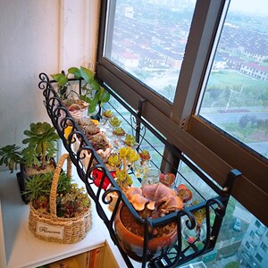 室外窗户挂筐欧式铁艺挂架悬挂花盆阳台挂式窗台置物架多肉花架