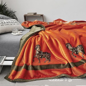 北欧轻奢双层加厚毛毯被子珊瑚绒办公沙发午睡毯子法莱绒床单云毯