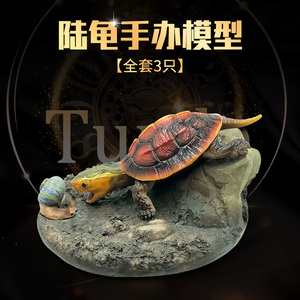 现货黄缘龟系列景品摆件陆龟手办模型静态公仔树脂小缘吃蜗牛成品