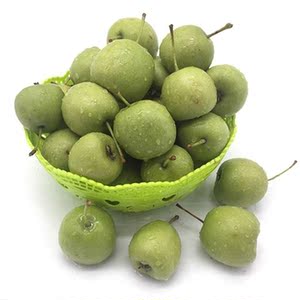 广东信宜特产青皮山楂新鲜酸甜山楂现摘现发山楂果新鲜大果山楂条