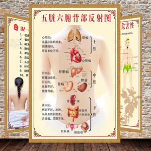 中医养生背诊图五脏六腑挂图经络不通人体背部穴位图美容院装饰画