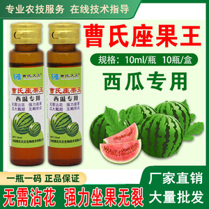 曹氏天正西瓜授粉药专用西瓜座果王座果灵保花果提高坐果率防畸形