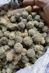 【吆麻子】吆麻子品牌,价格 - 阿里巴巴