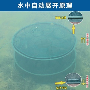 地箜网鱼鱼笼只进不出小号塘角鱼笼塘鲺鱼笼泥猛笼螃蟹笼子海边用