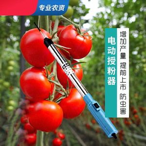 00恰庆商贸城淘宝德国进口番茄授粉器电动喷花神器点花器黄瓜沾花机