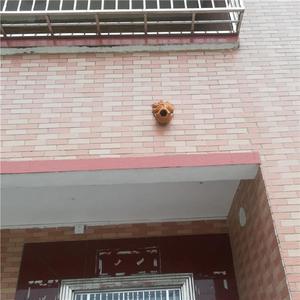 大理石建筑背景墙流出出水鱼嘴陶瓷龙头出水口吐水排水管鱼头阳台