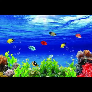 鱼缸背景贴纸3d平面海洋系列高清图背景画自粘新款水族箱防水壁纸