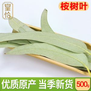 桉树叶新鲜中药材500g蓝桉叶羊草果叶小桉树大叶子驱虫磨桉树叶粉