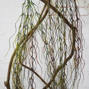 2022树藤装饰枯藤仿真藤条干树枝藤蔓植物爬藤缠绕葡萄藤c造型树