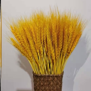 麦穗干花瓶商场农家乐饰品包装摆设展会开张干花束电影大麦餐厅标