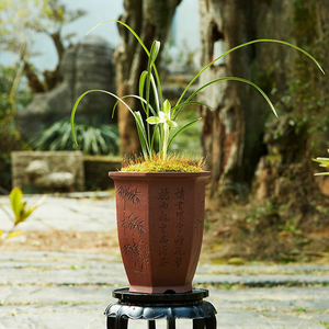 000人付款淘宝指尖砂应小青紫砂花盆80年代老紫泥手工精制兰花盆景小