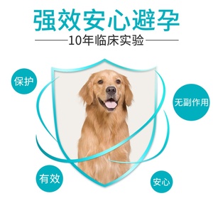 22宠物狗狗避孕药母狗事后紧急孕r停犬专用金毛泰迪长效狗止孕防