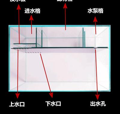 烟火超白鱼缸背滤30背滤海缸40背滤海缸45背滤x海缸60背滤海缸侧