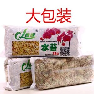 干水苔蝴蝶兰专用青苔兰花石斛专用土苔藓乌龟垫料捕蝇草猪笼草