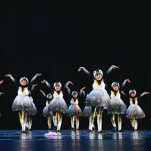 小企鹅历险记儿童舞蹈服第九届小荷风采表演服装小企鹅动物演出新