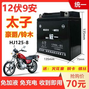 适用铃木GN太子HJ125-8男士摩托车统一免维护蓄电池12V9A干电瓶