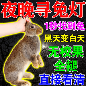 夜间猎寻兔探照灯野外抓鸡兔子克星抓捕神器2023新款正品头灯户外