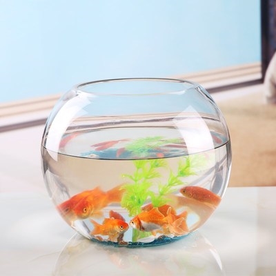 园柱形鱼缸圆柱形